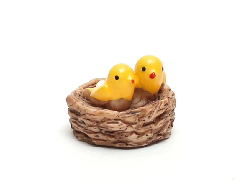 Bird Nest